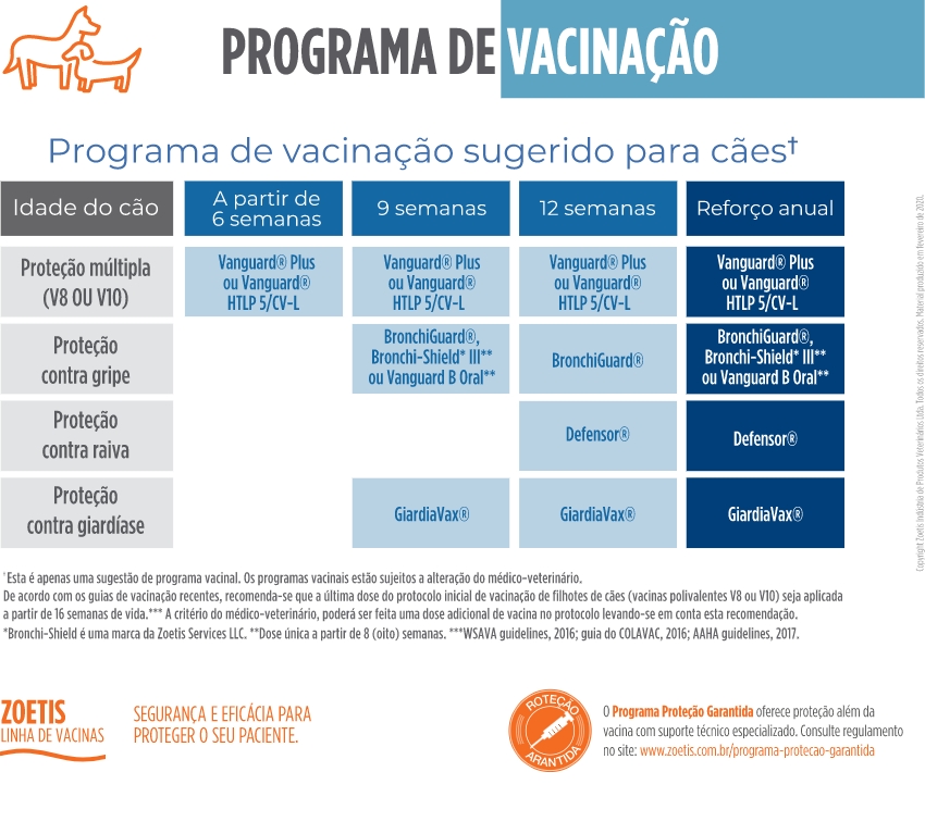 Tabela do Programa de Vacinação de cães