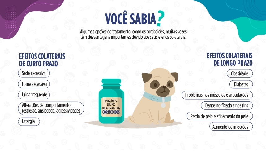 imagem com os principais efeitos colaterais de alguns tratamentos para coceira de cachorro
