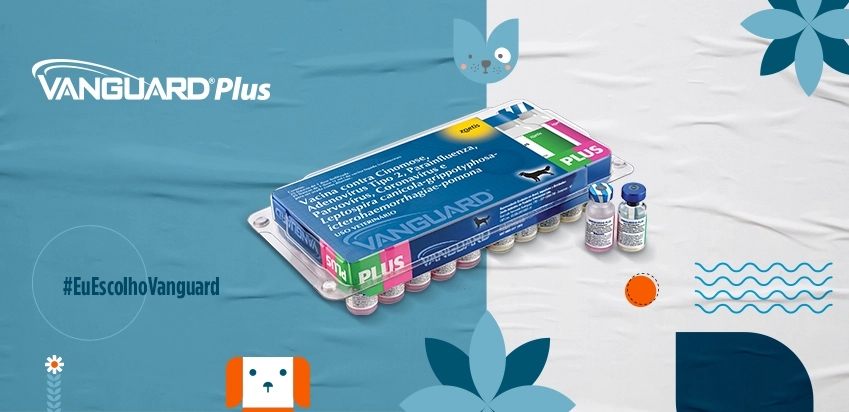 Embalagem com frascos da vacina Vanguard Plus V10