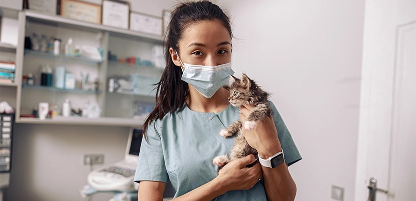 Ferramenta do Google leva animais para dentro de casa